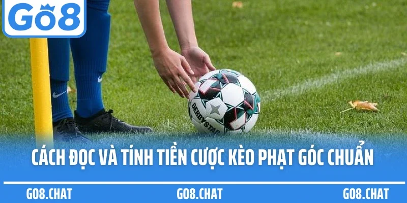 Cách đọc và tính tiền cược kèo phạt góc chuẩn